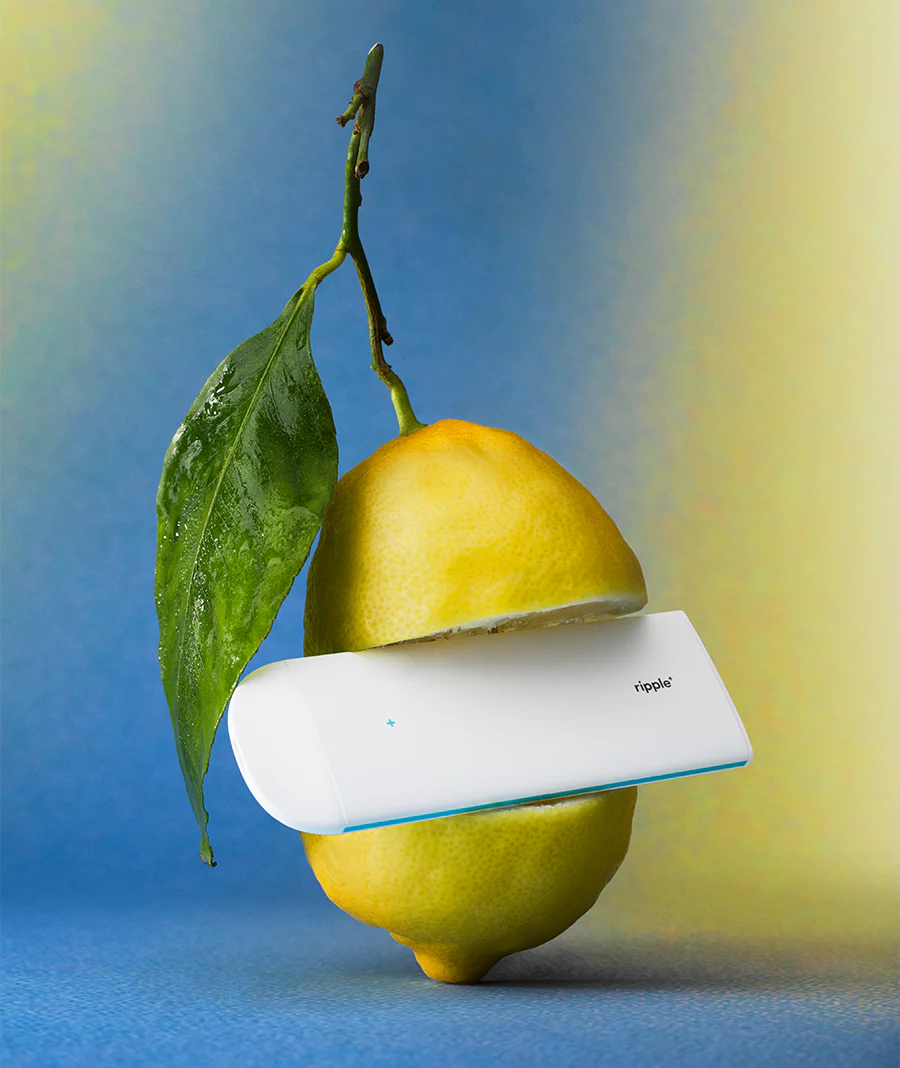 CITRUS DRIFT [A] - Image 3