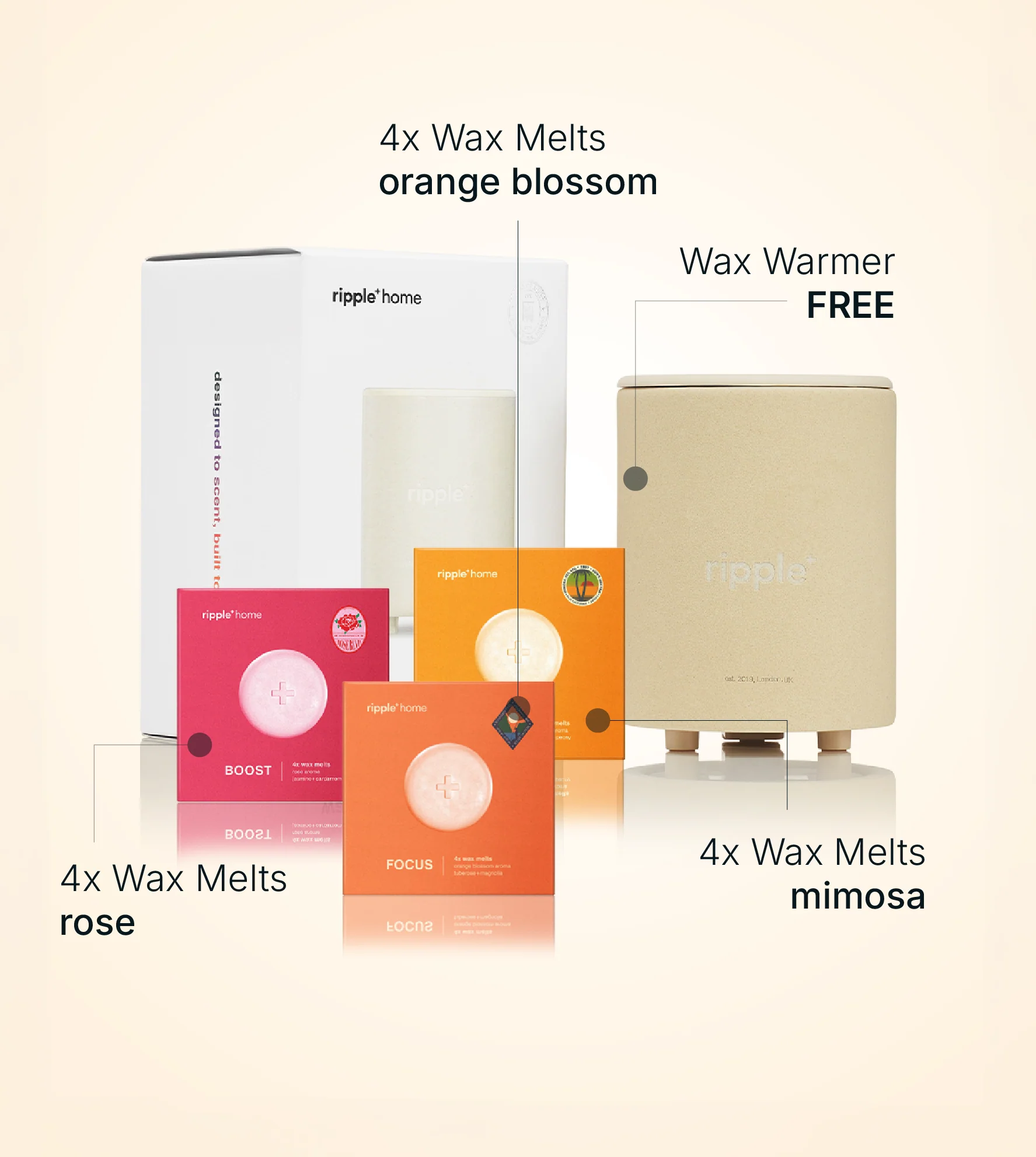 Floral & Radiant Scents - Image 2