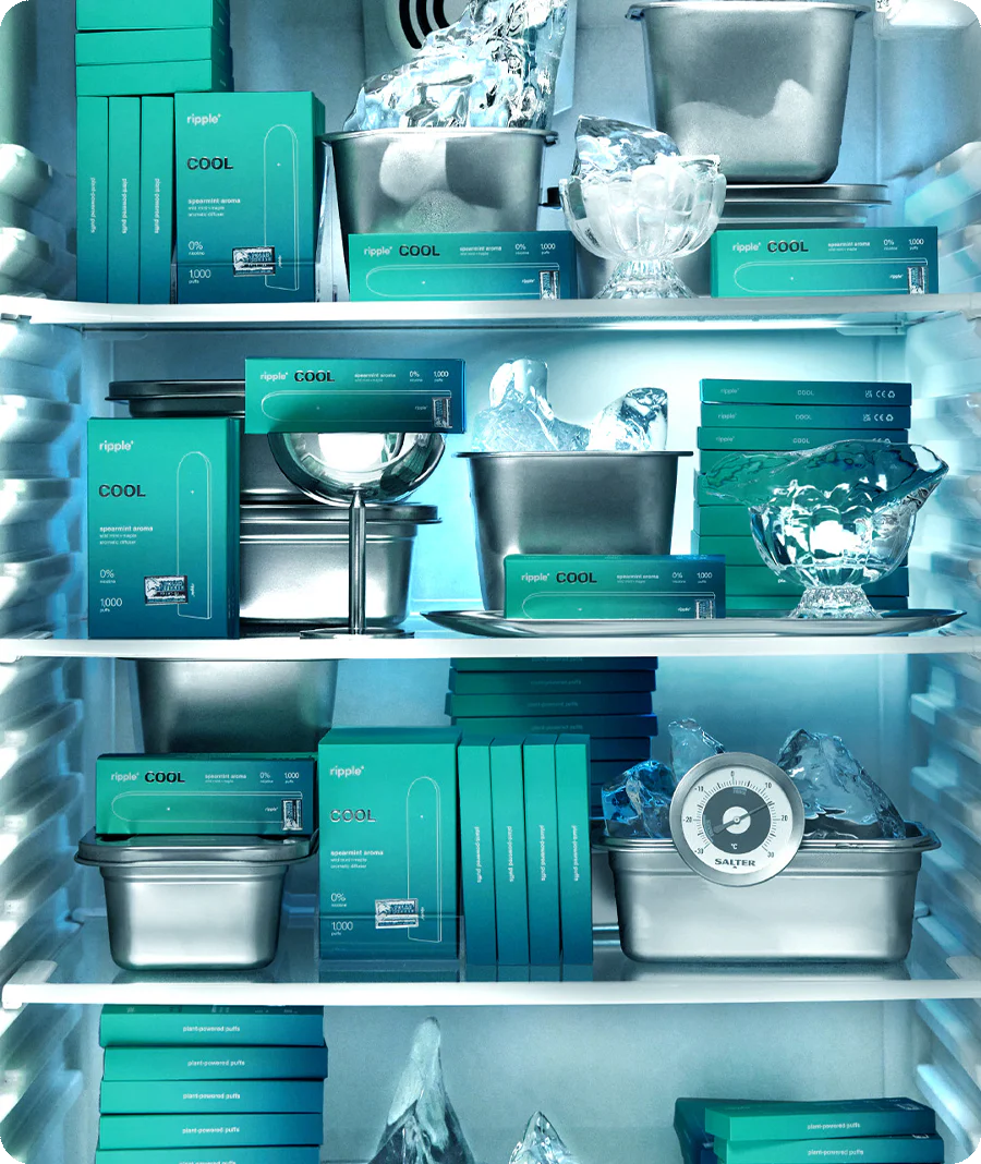 COOL PODS - Image 6