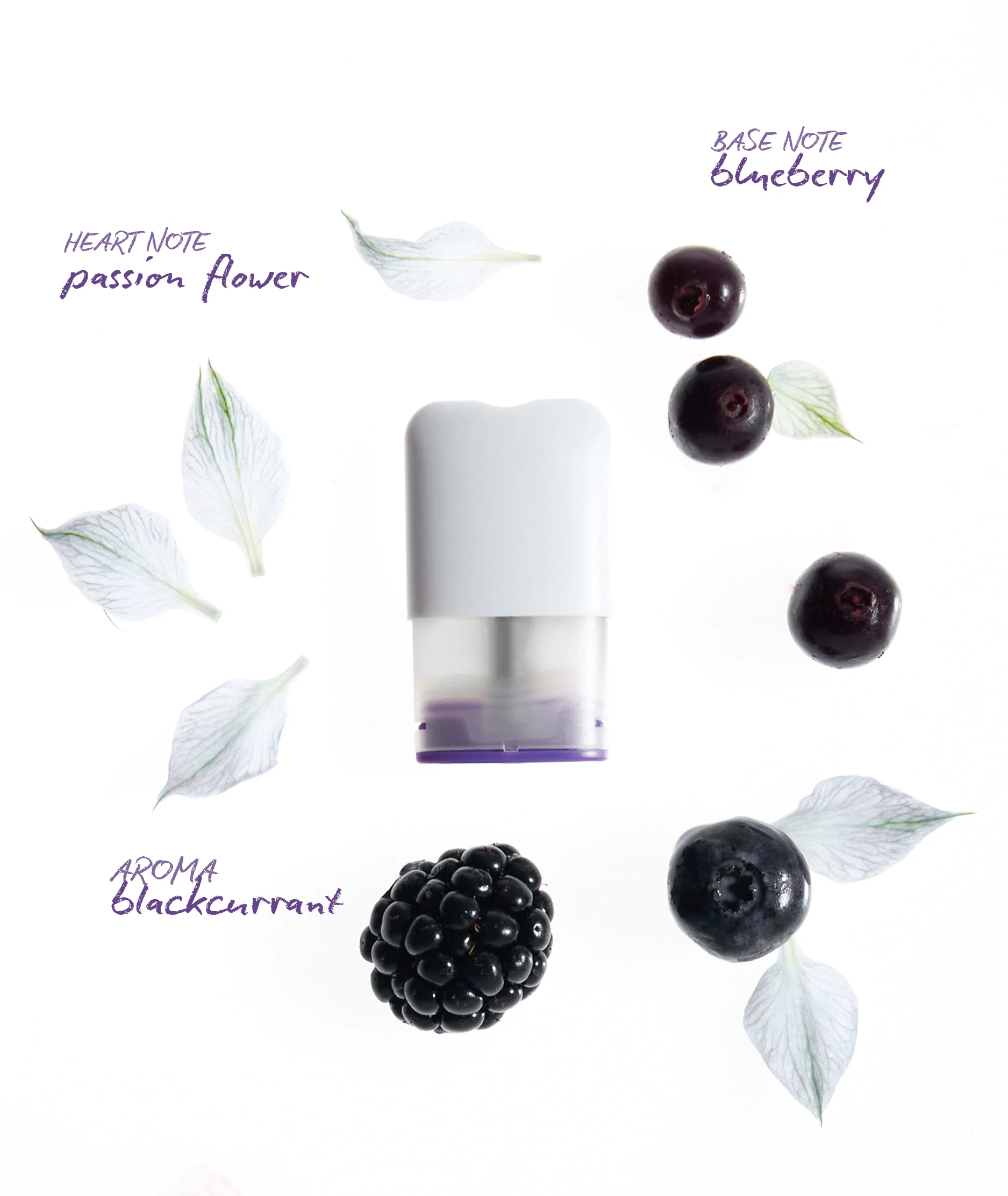 DREAM Pods - Image 4