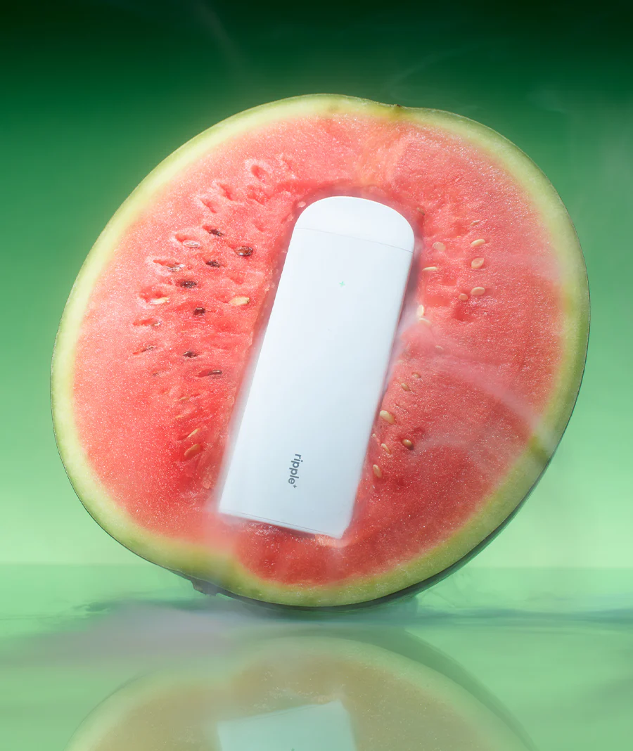 FRUITY FUSION - Image 5