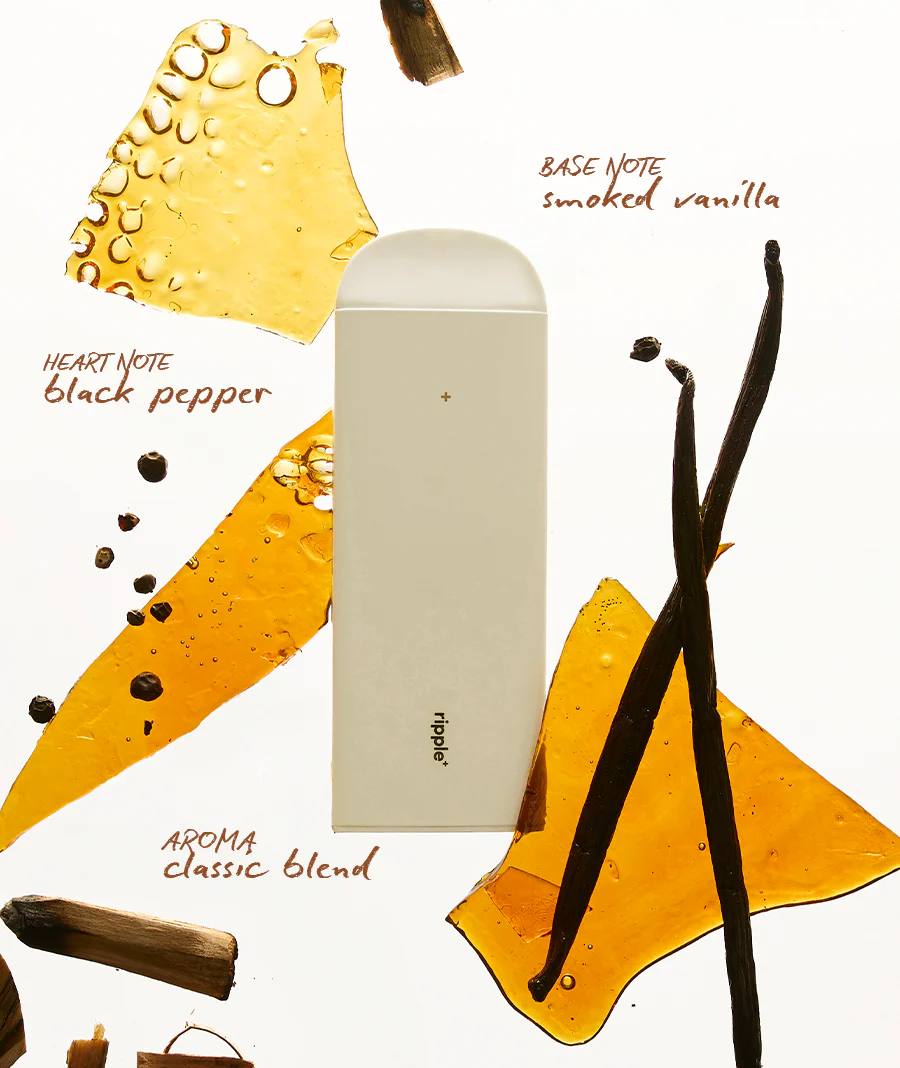 GOLD - Image 8