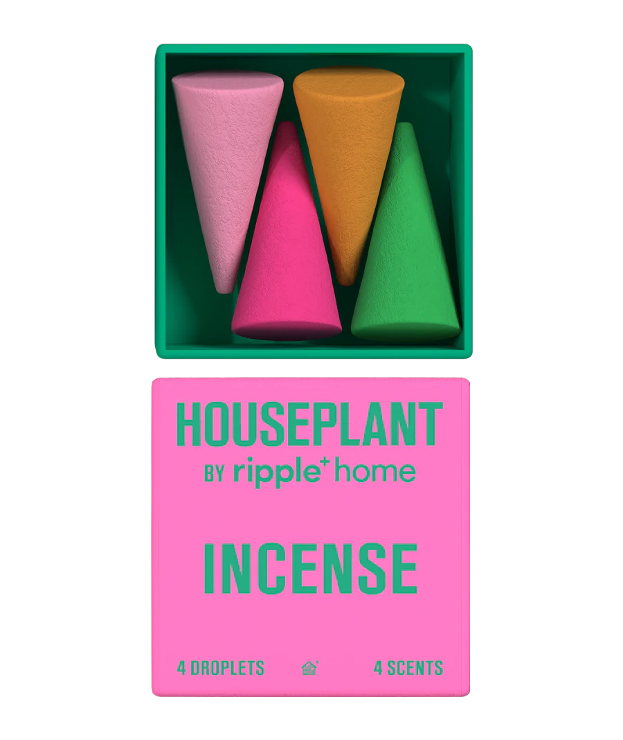 HOUSEPLANT MINI-PACK - Image 2