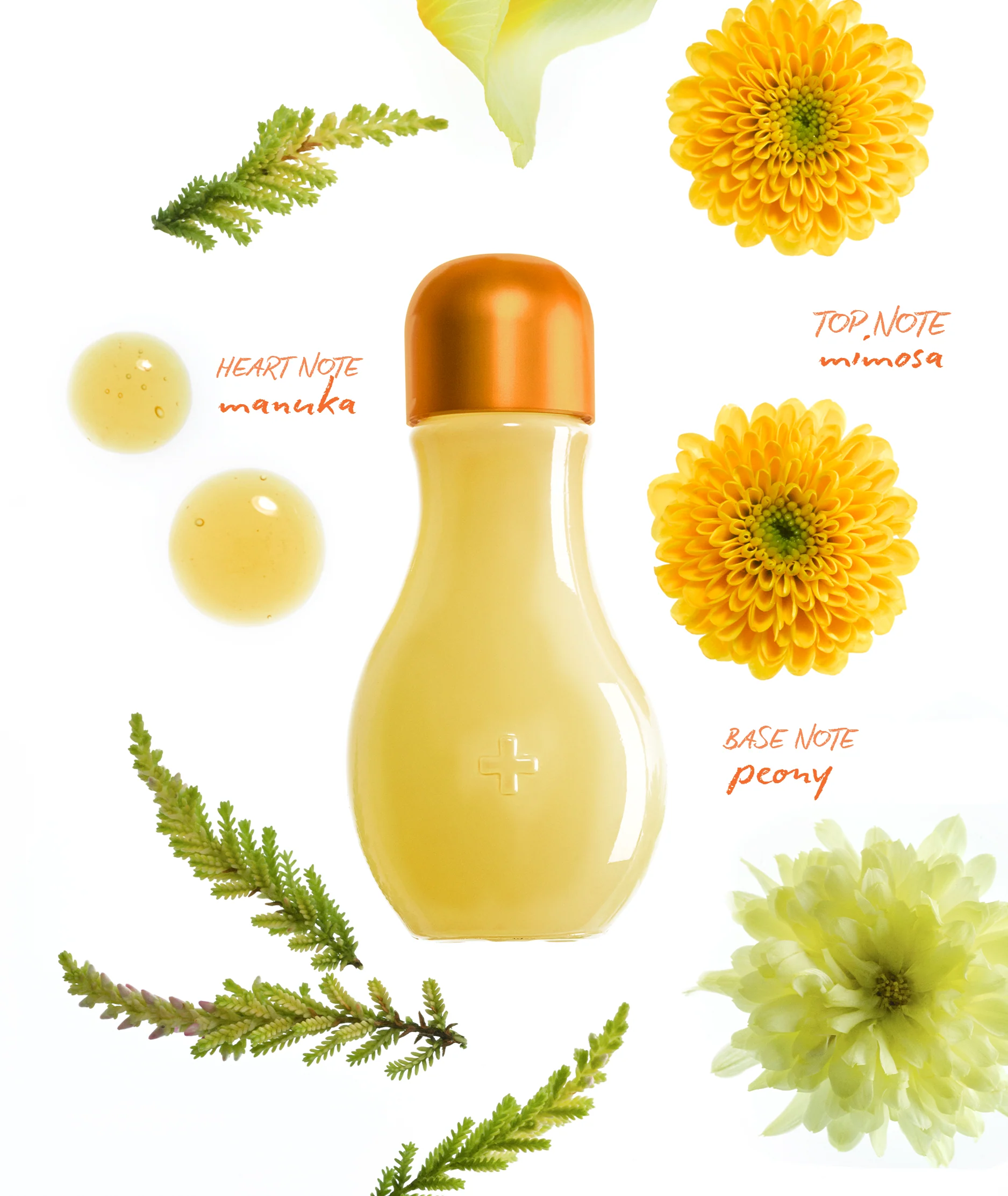 MIMOSA DROPS - Image 3