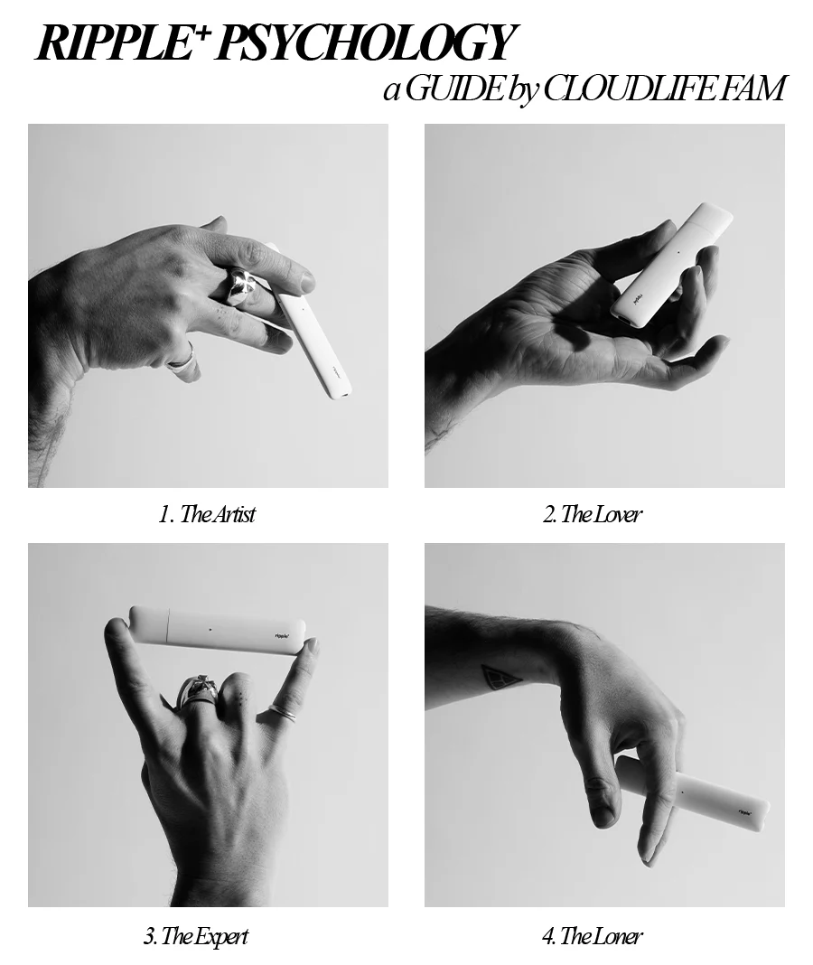 THE DUAL RESET - Image 8