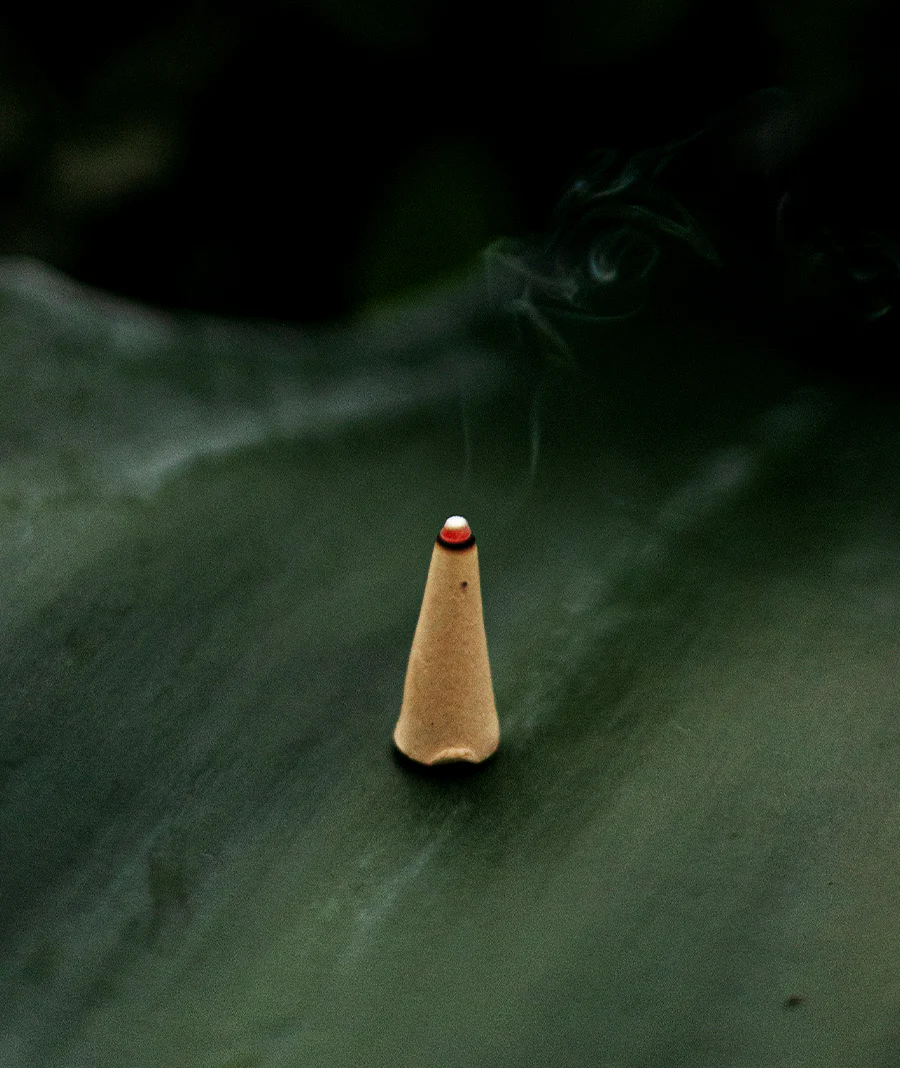 Palo Santo, 1890 - Image 6