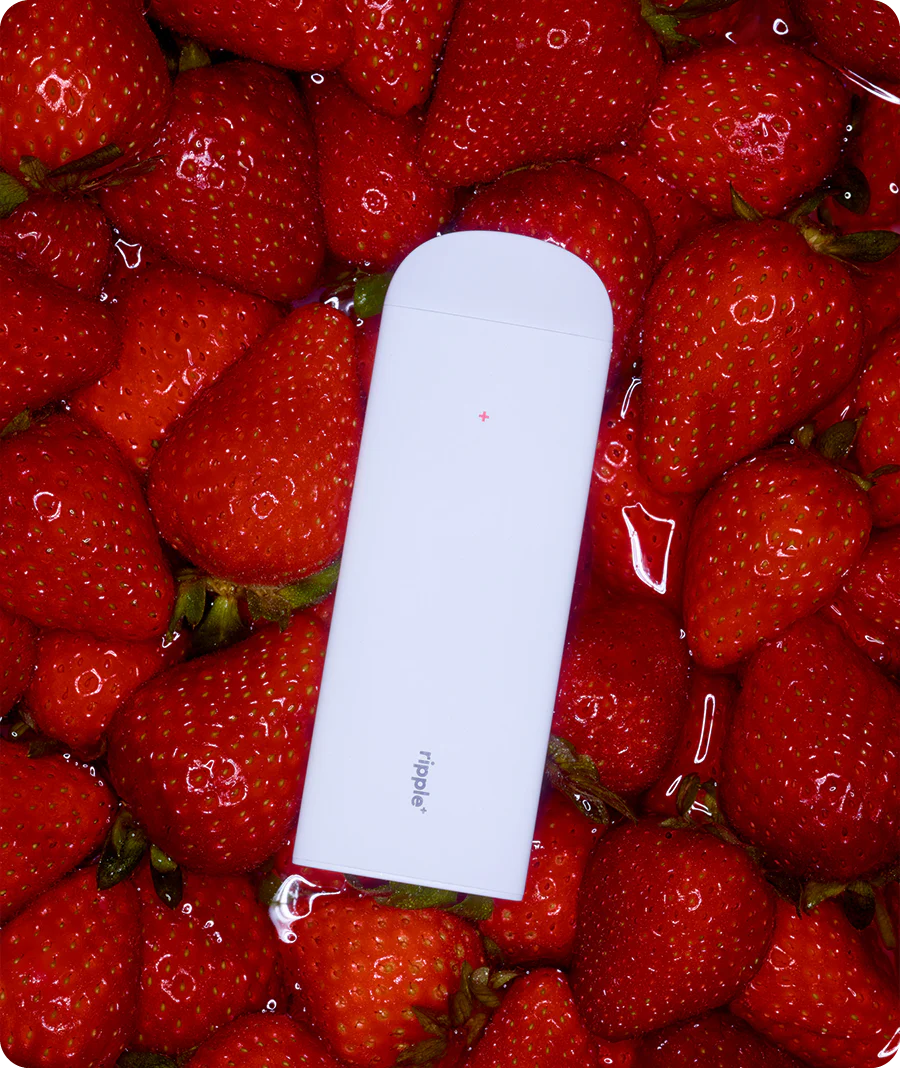 STRAWBERRY COOLER - Image 3