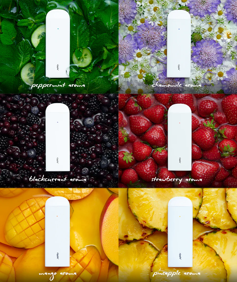 SAMPLER - Image 3