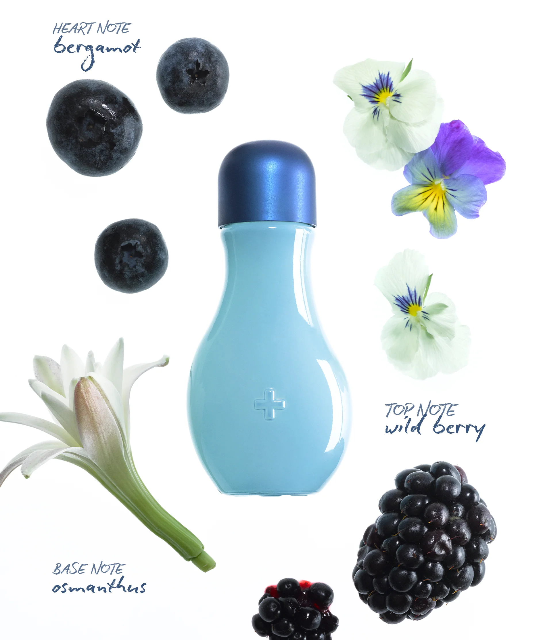 WILD BERRY DROPS - Image 3